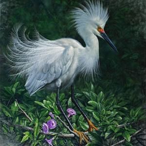 Meet your Posher, Gregory